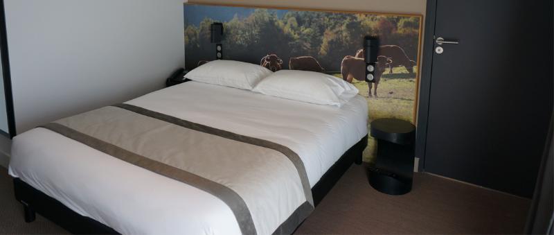 The Originals Relais Hotel Saint-Roch Salzuit Экстерьер фото